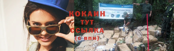 дживик Ладушкин