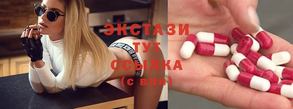 гашик Невель