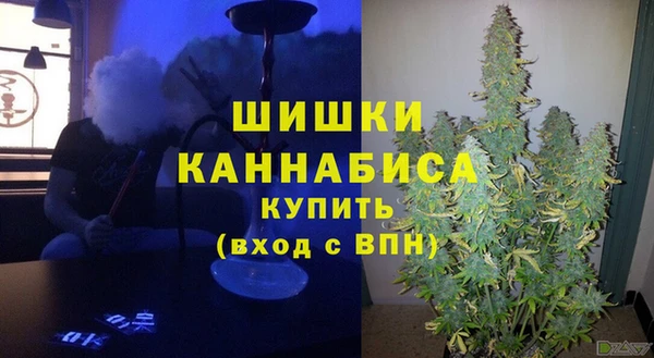 ГАЛЛЮЦИНОГЕННЫЕ ГРИБЫ Кулебаки
