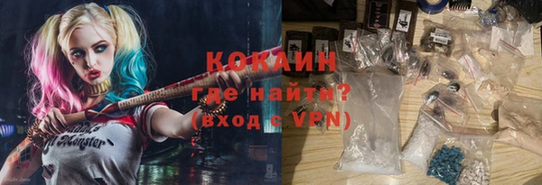дживик Ладушкин