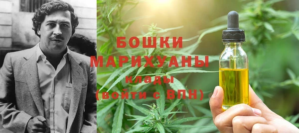 спайс Лагань