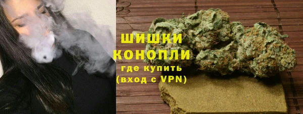 ГАЛЛЮЦИНОГЕННЫЕ ГРИБЫ Кулебаки
