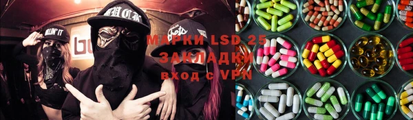 ГАЛЛЮЦИНОГЕННЫЕ ГРИБЫ Кулебаки